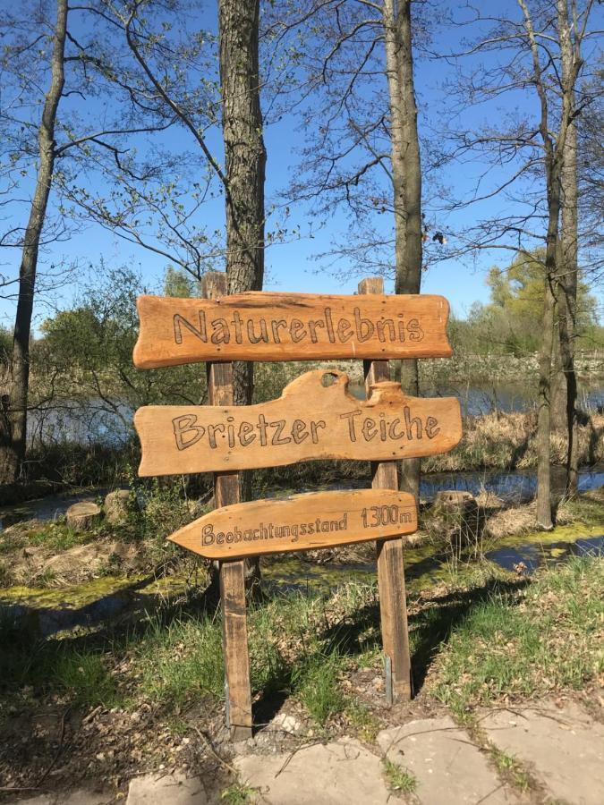 Ferienwohnungen Marita Salzwedel Esterno foto
