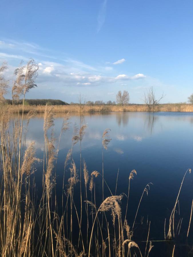 Ferienwohnungen Marita Salzwedel Esterno foto